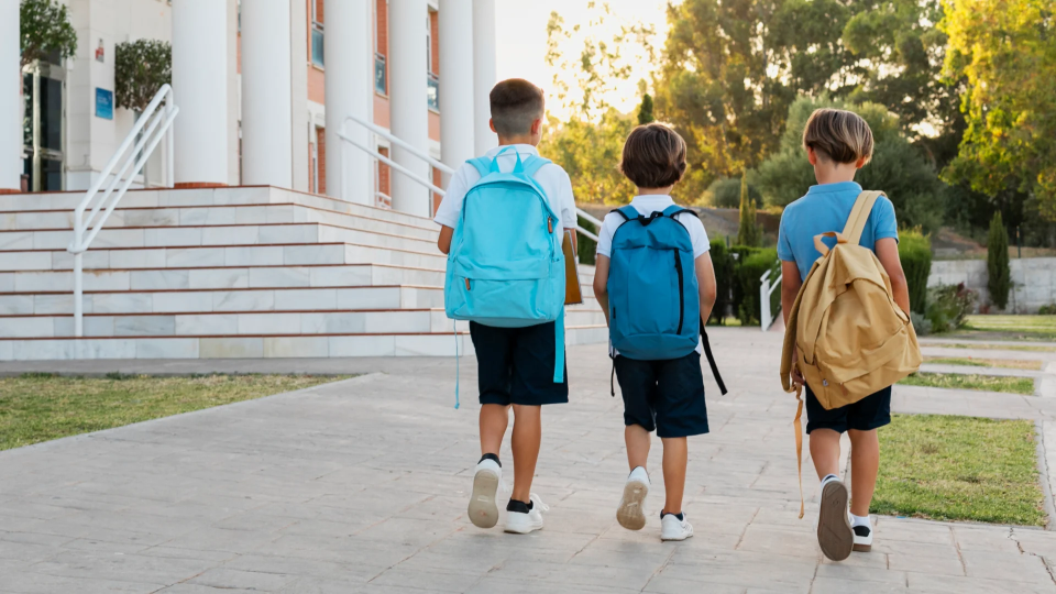 “Automated redaction of emails and documents for Subject Access Requests in UK schools”